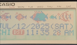 The home time mode on the CSF-4950