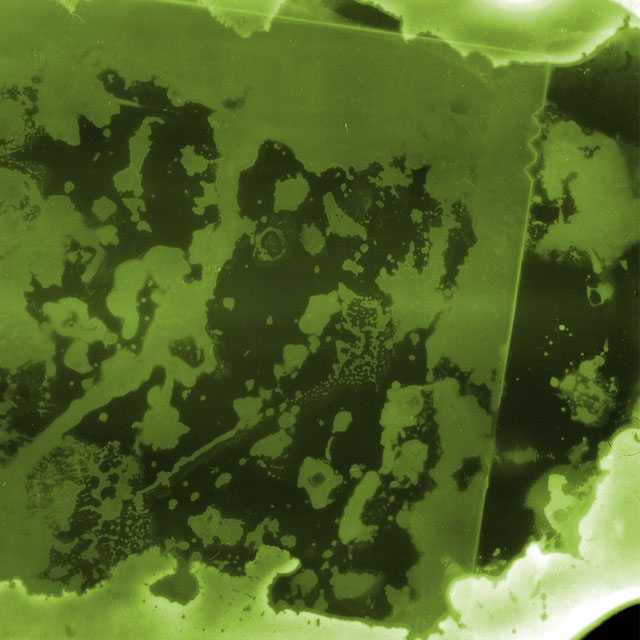 The cover to The Ephemeral Pond