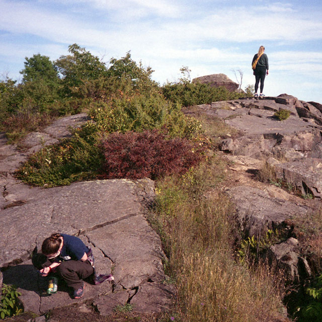 The cover to Spring on Home Video