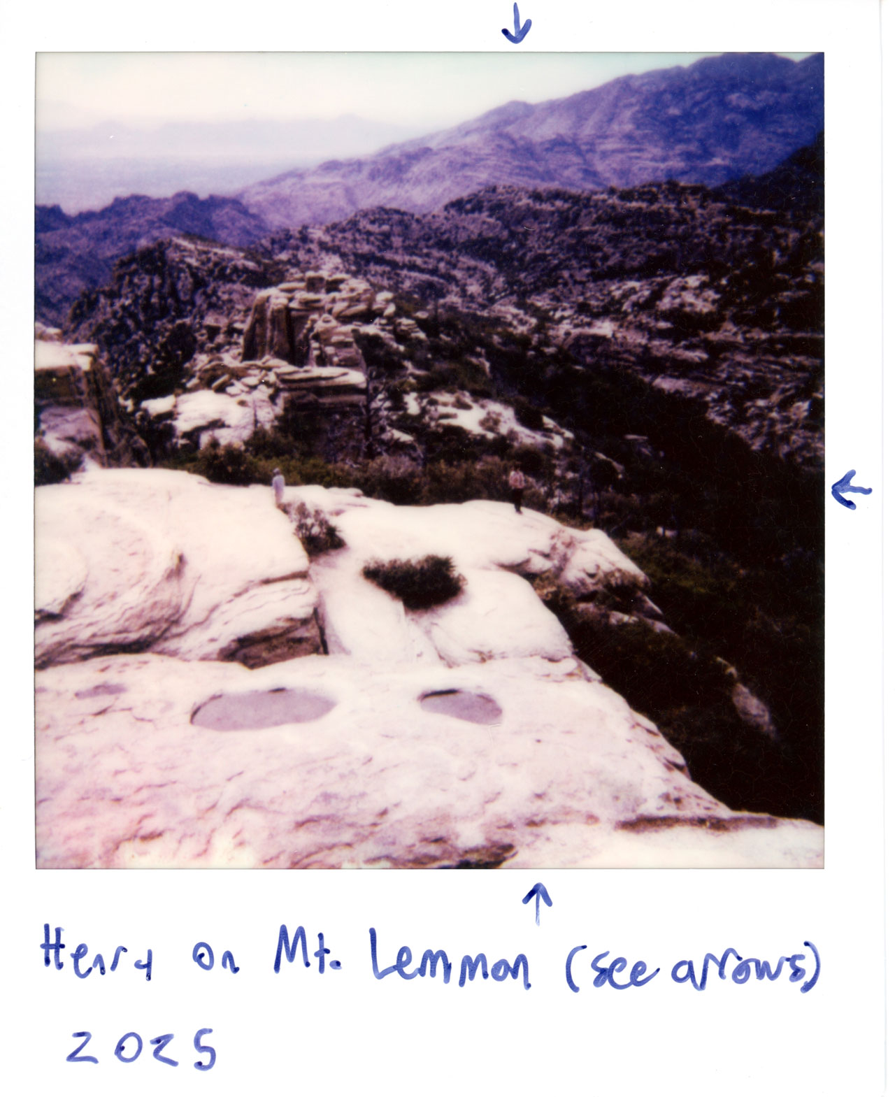 Henry at Mt. Lemmon, AZ